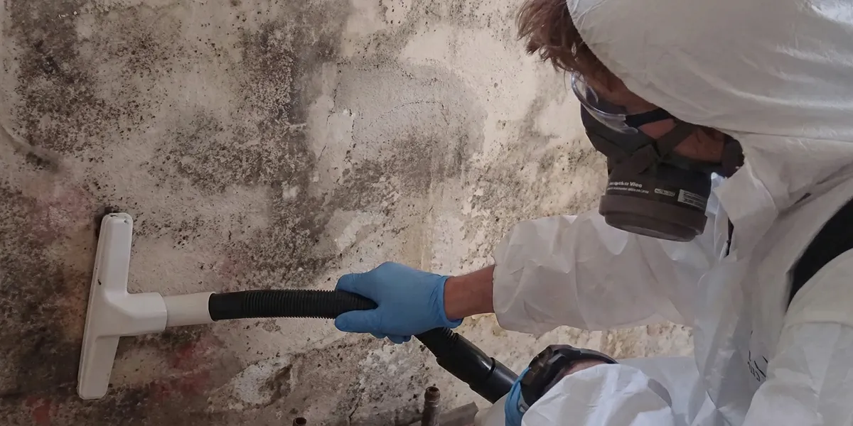 professional mold removal technician wearing protective equipment removing mold from a wall in Tampa, FL